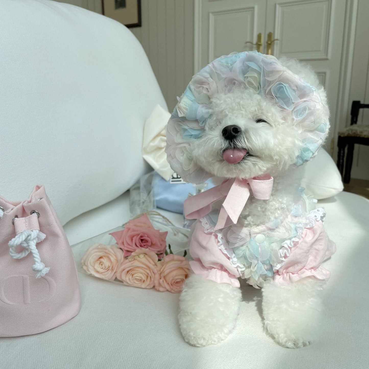 Princess Embroidered Sleeve Dress Clothes For Pets